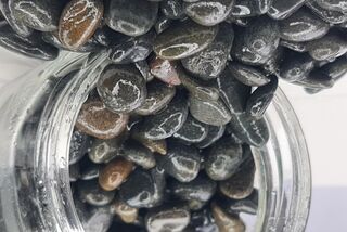 Pea Metal & Garnet Support Media NZ | Absorb