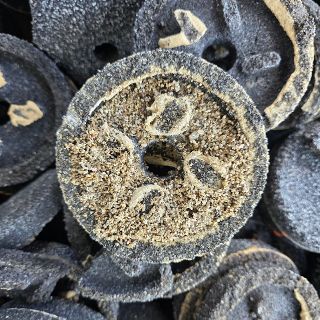 Beneath the Sand: The Story of Ceramic Filter Nozzles